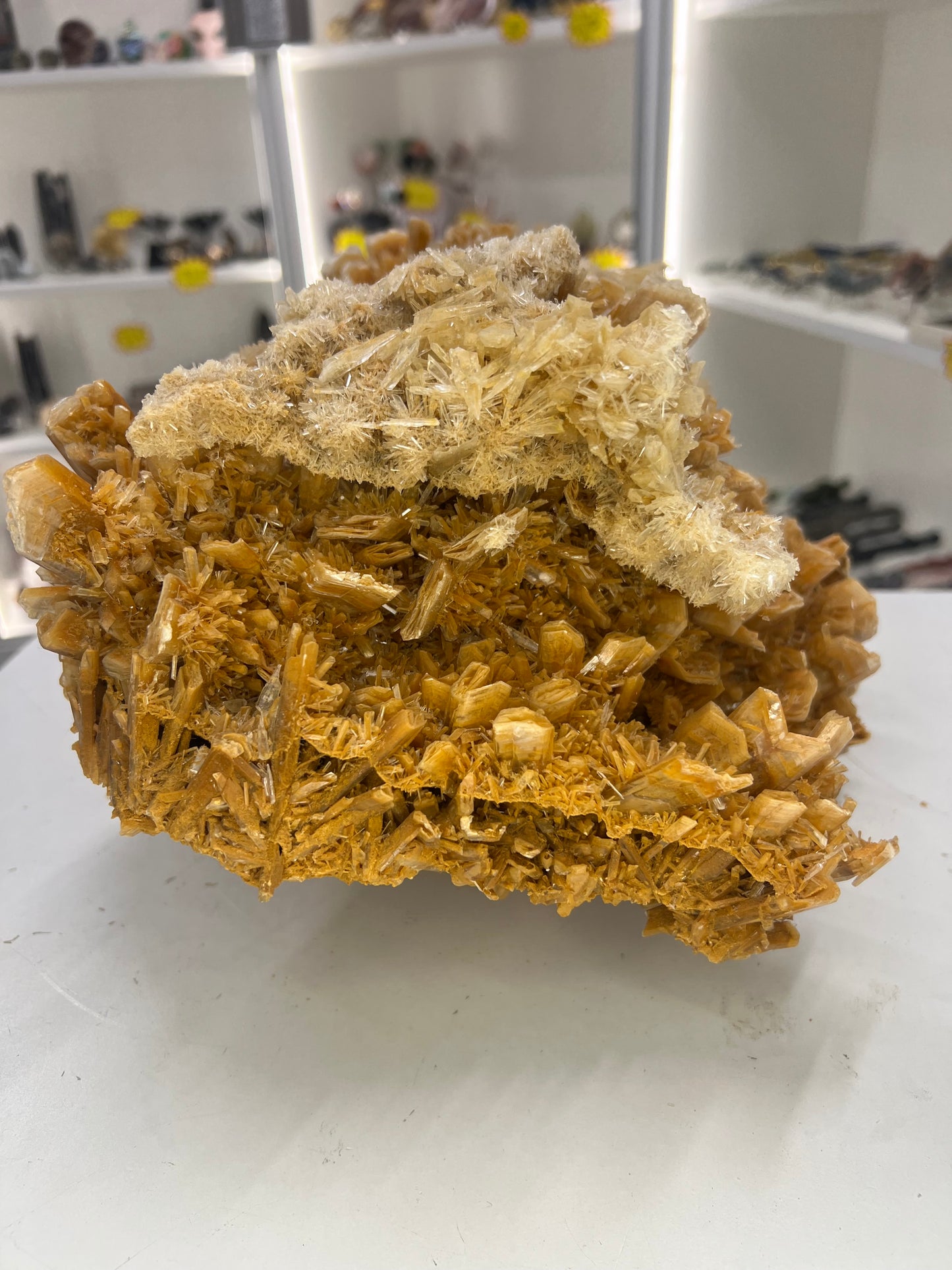 Huge Gypsum Specimen
