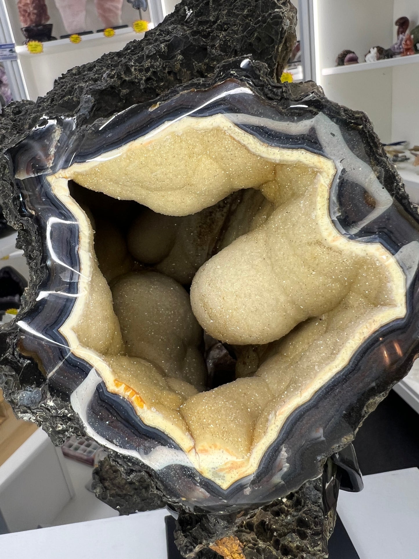 Super Rare Black Chalcedony on Metal Stand