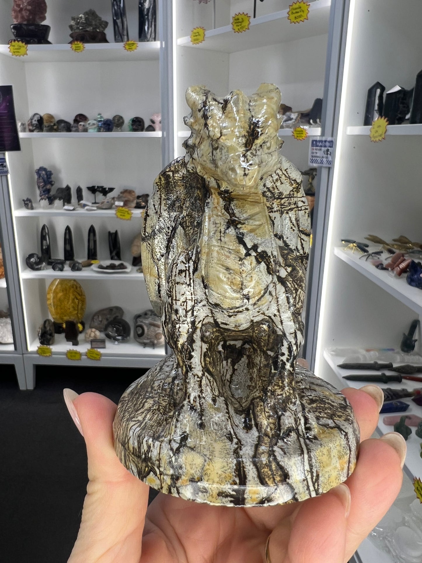 Picture Jasper Dragon