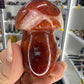 Carnelian Mushroom