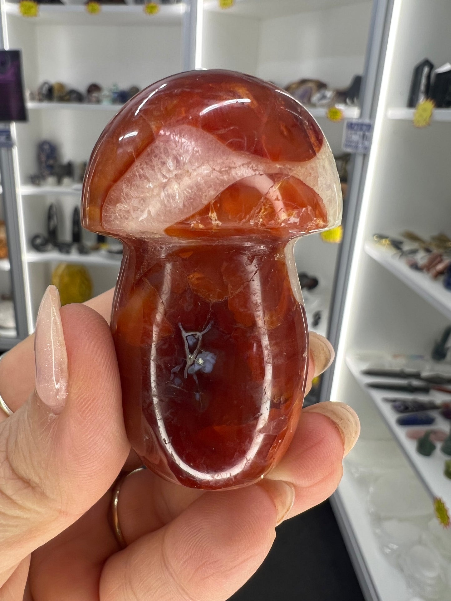 Carnelian Mushroom