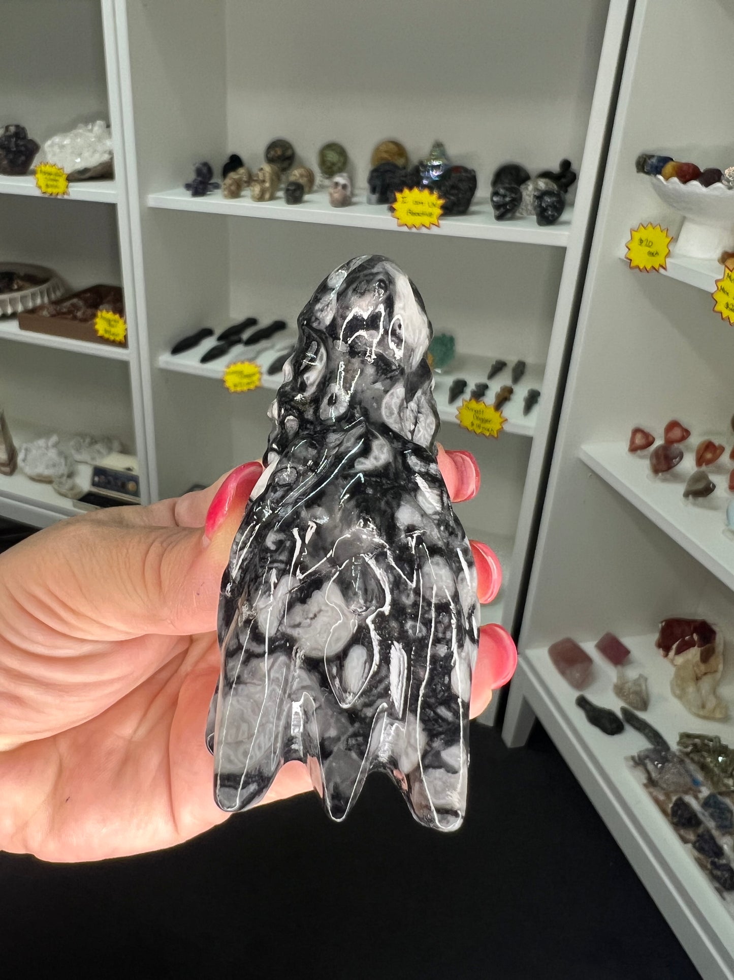 Shell Dragon Head