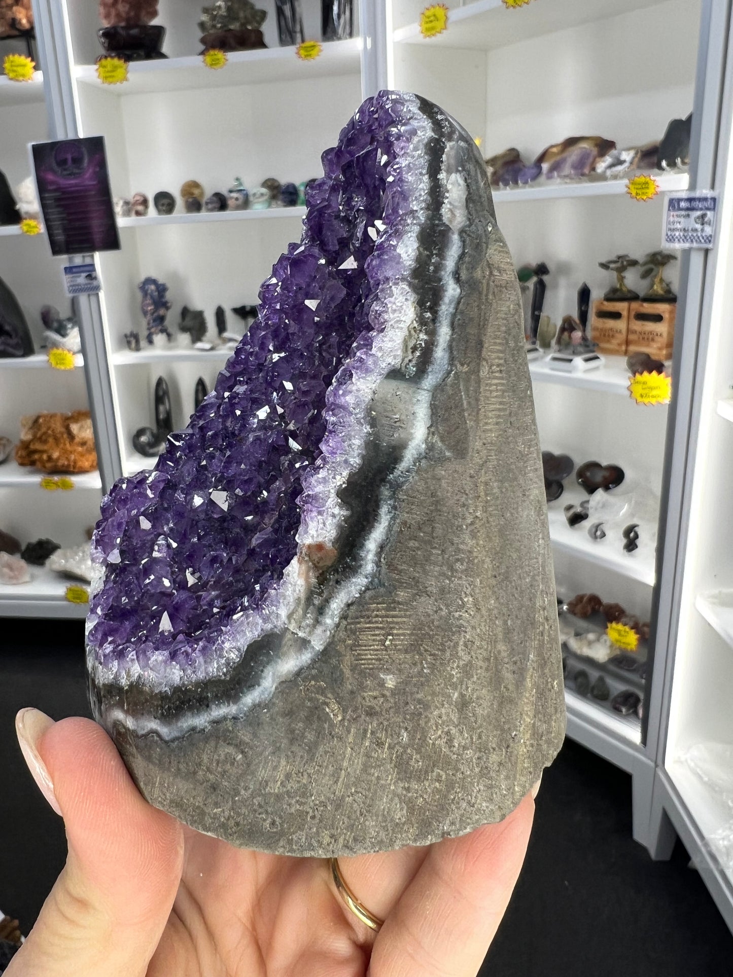Amethyst Cluster Specimen