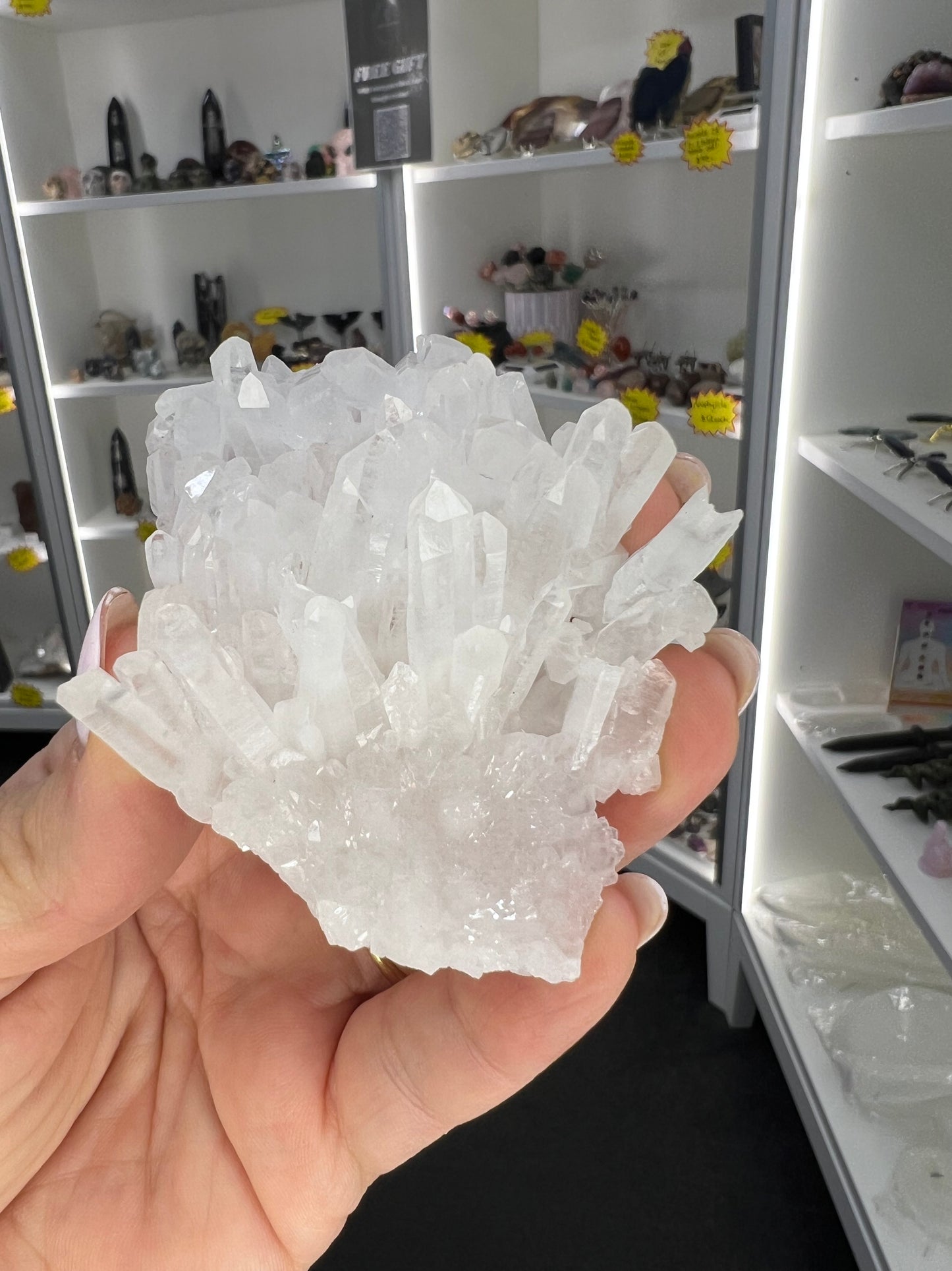 Clear Quartz Cluster