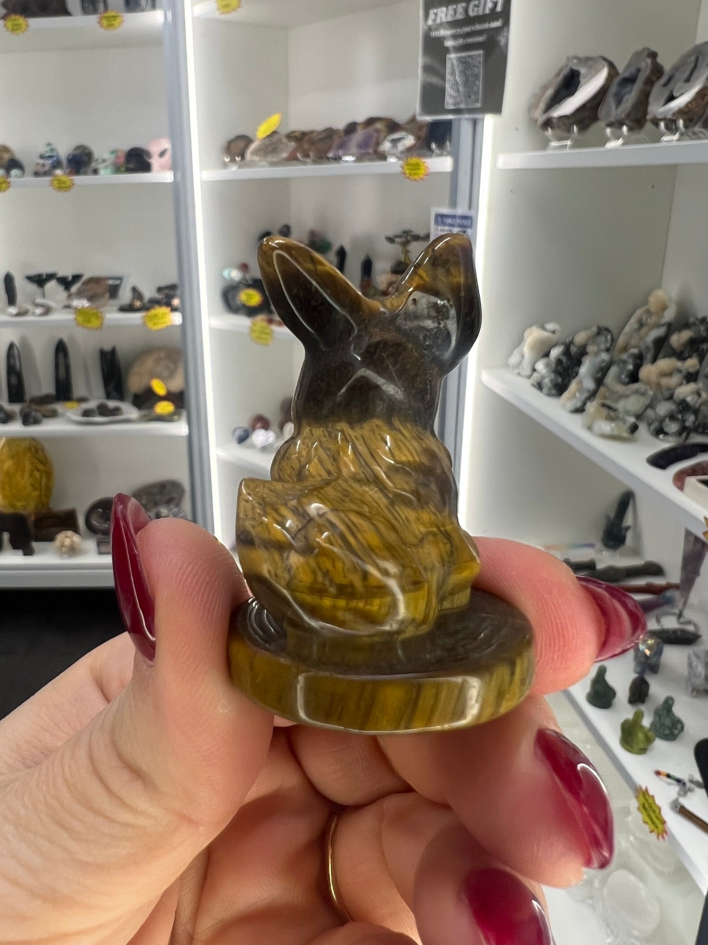 Tigers Eye Character