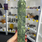 Green Jade Tower