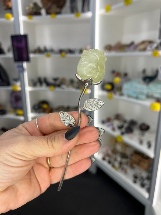 Citrine Forever Rose