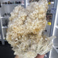 Gypsum Cluster Specimen