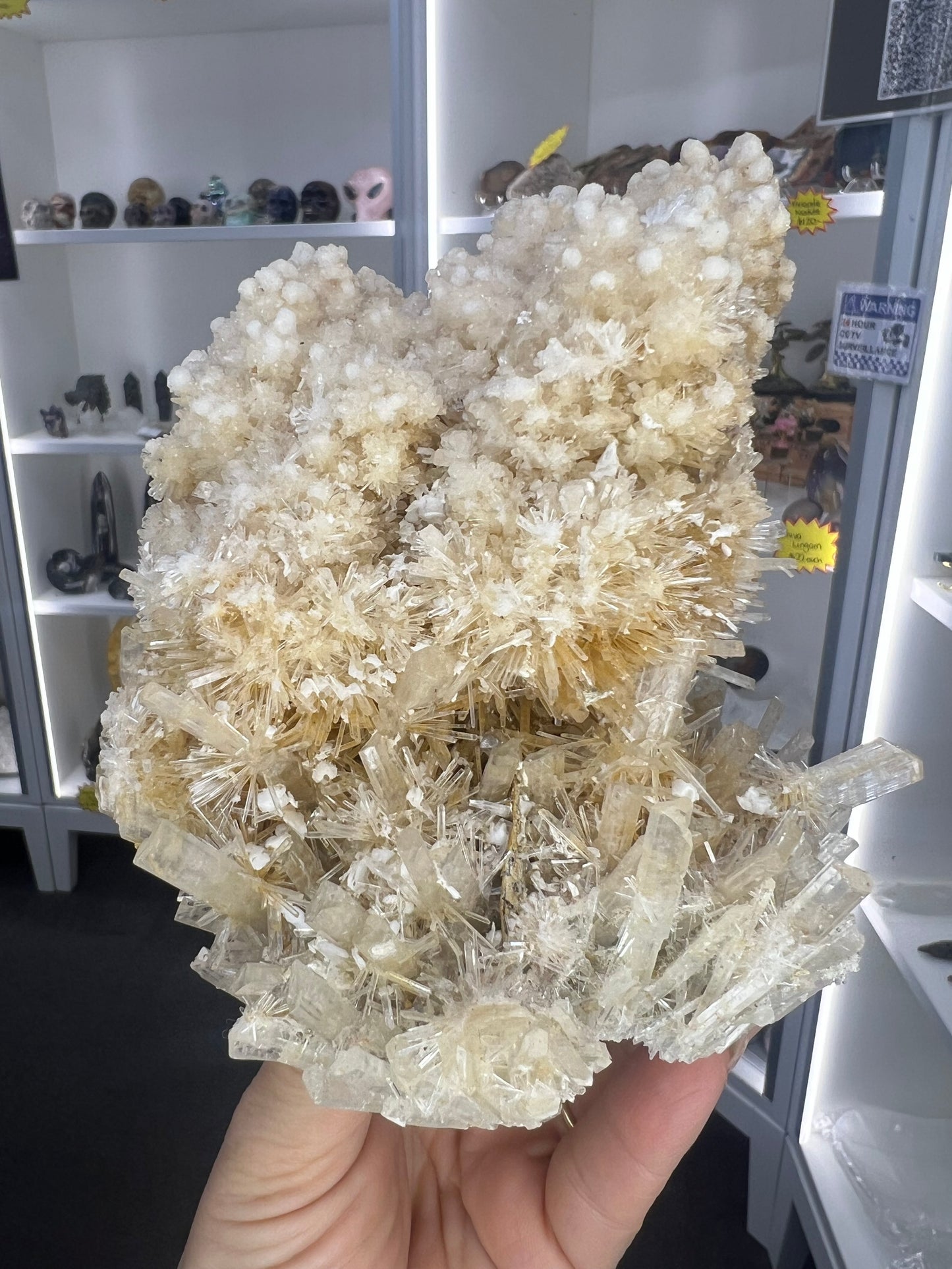 Gypsum Cluster Specimen