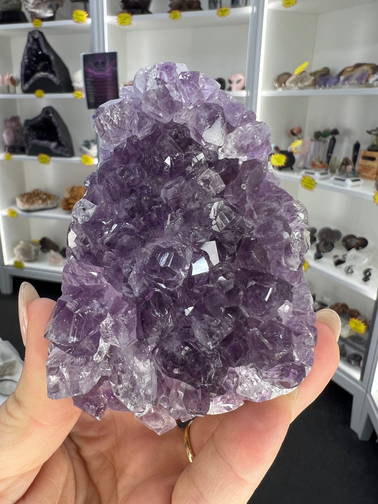 Amethyst Cluster Specimen