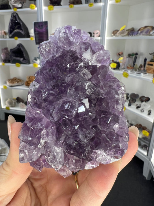 Amethyst Cluster Specimen