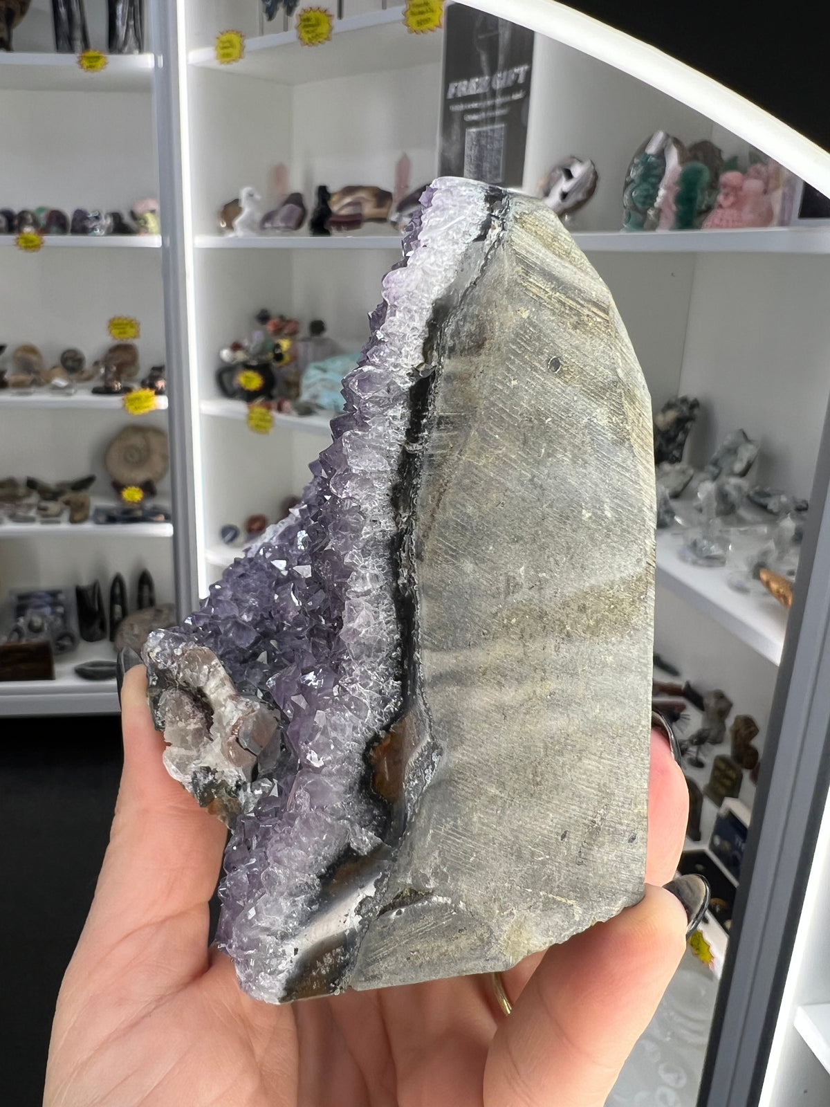 Amethyst Cluster Specimen
