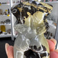Picture Jasper Lady Torso