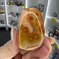 Sardonyx Little Guy