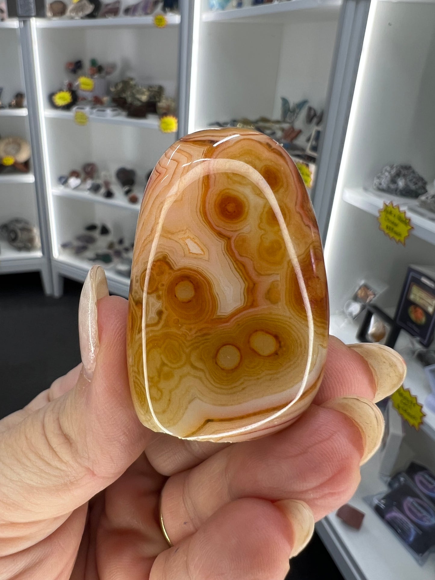 Sardonyx Little Guy