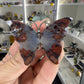 Mexican Lace Agate Butterfly