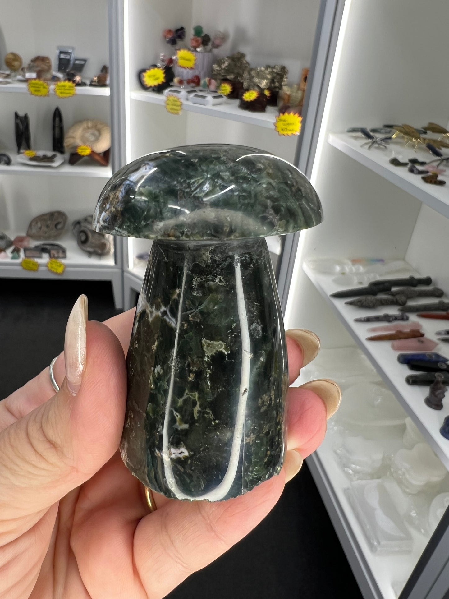 Ocean Jasper Mushroom