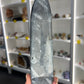 Orthoceras Totem