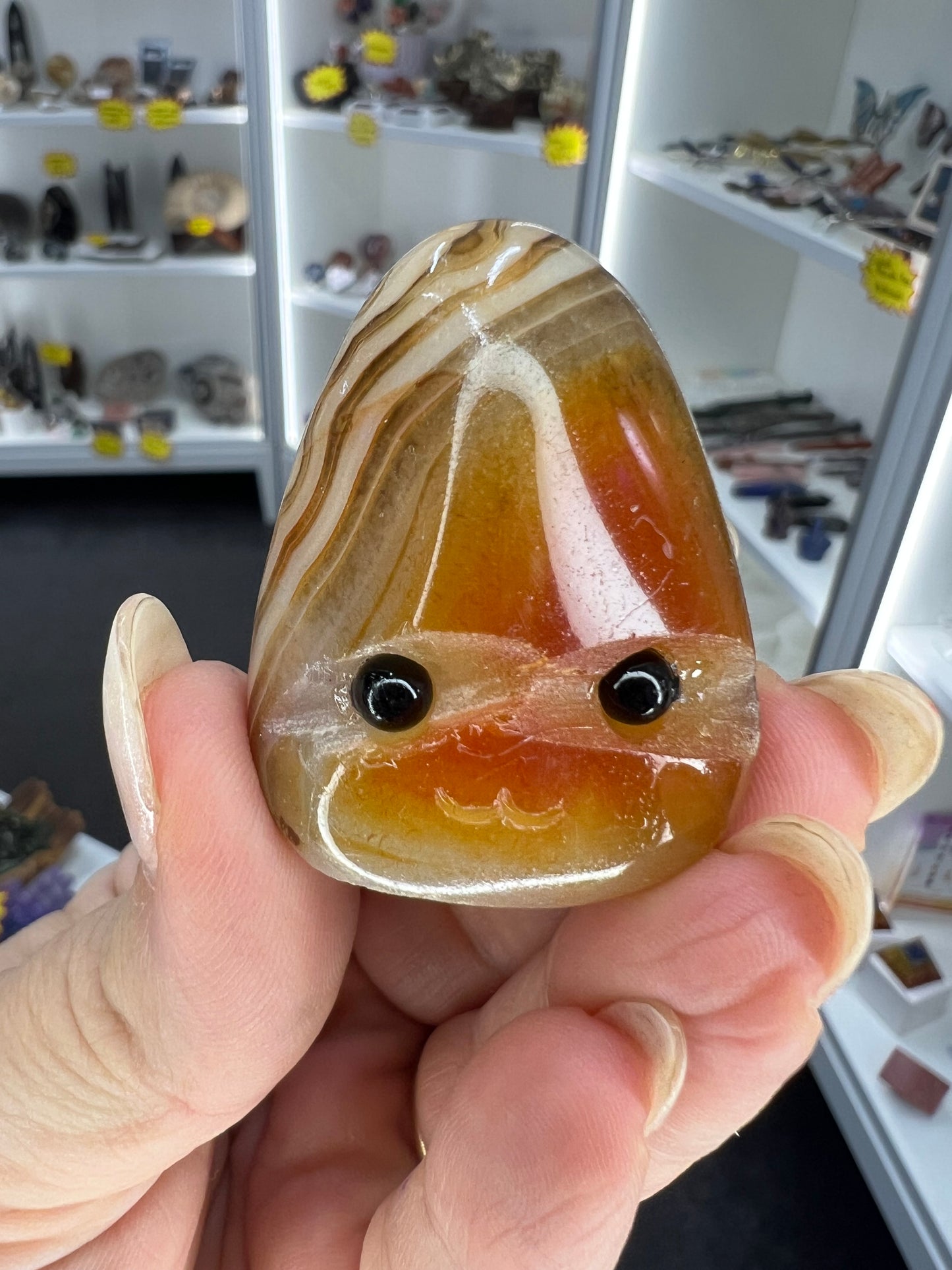 Sardonyx Little Guy