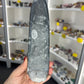 Orthoceras Totem