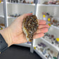 Citrine Cluster