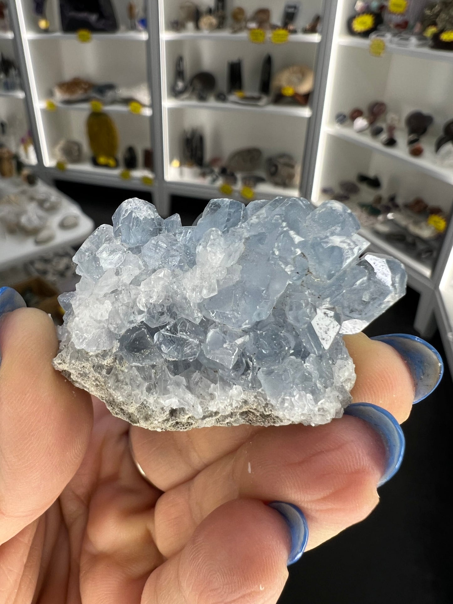 Celestite Cluster Specimen