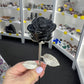Black Obsidian Forever Rose