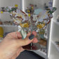 Ocean Jasper Butterfly