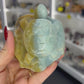 Caribbean Calcite Turtle