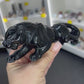 Black Obsidian Panther