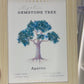 Apatite Chip Tree Frame