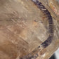 Enhydro Quartz Specimen