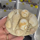 Turritella Shell Cluster Slab